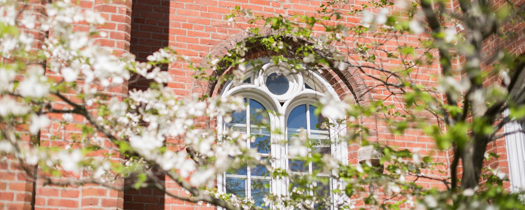 Events | Illinois College