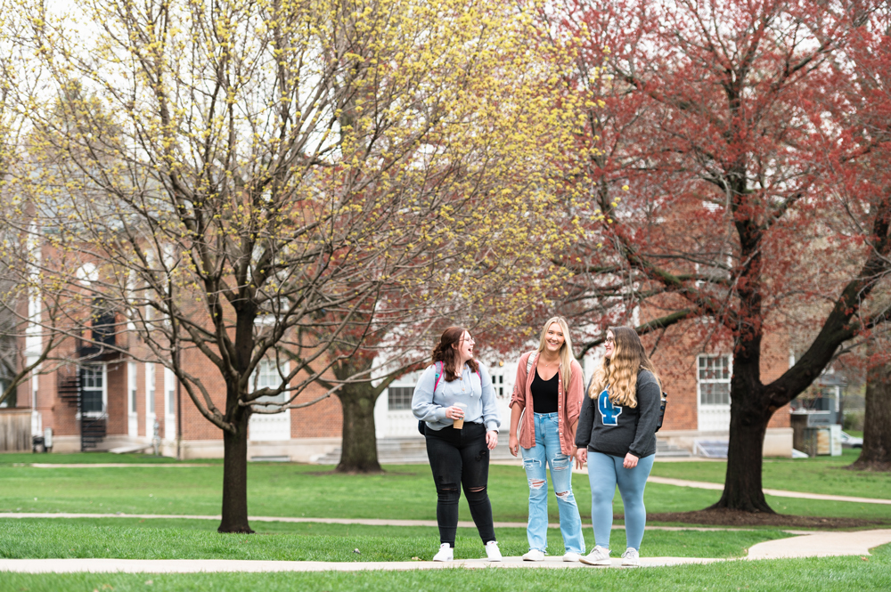 Fall Enrollment Again Marks One Of The Largest Student Bodies In 