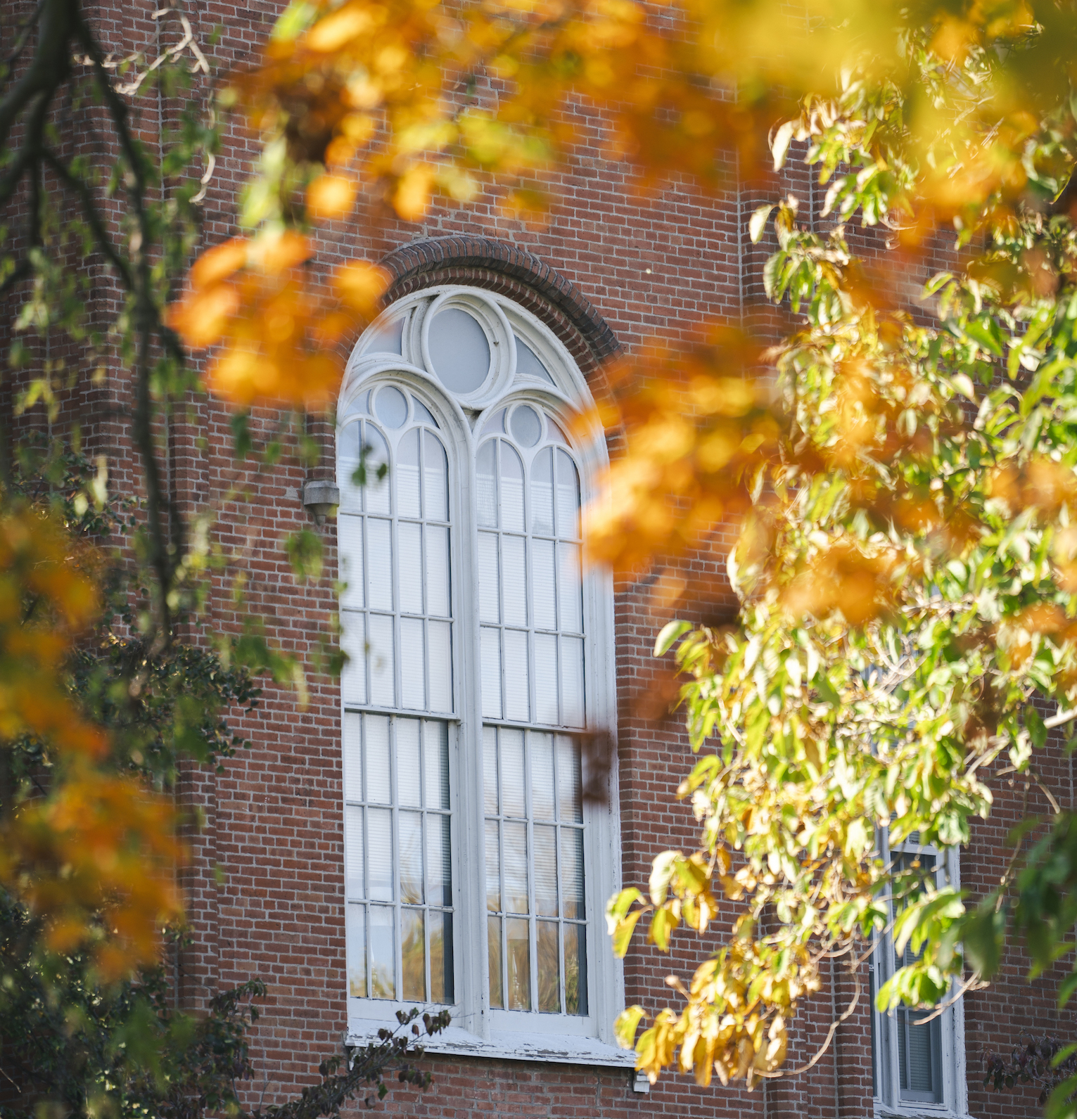 Fall 2024 Deans List | Illinois College