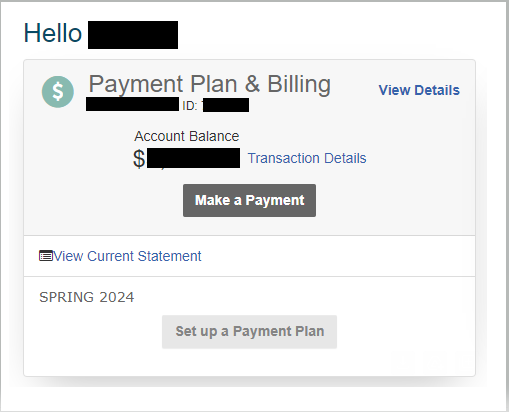 payment portal screenshot