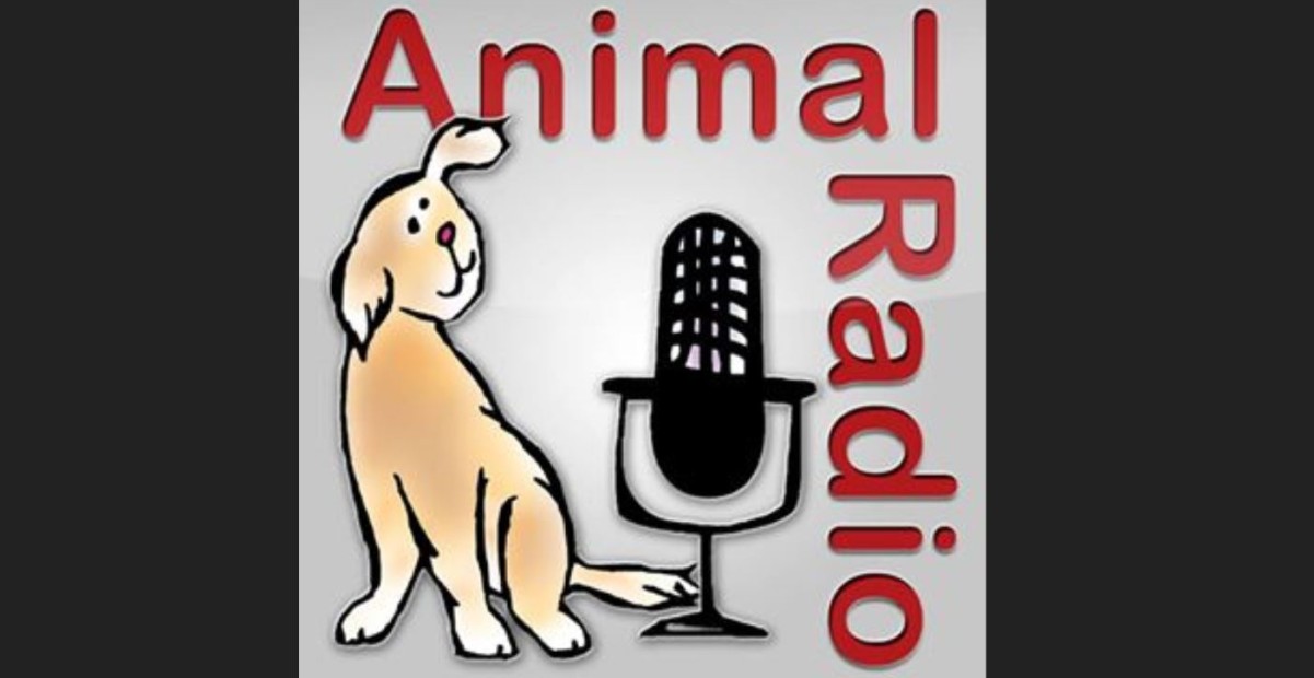 animal radio