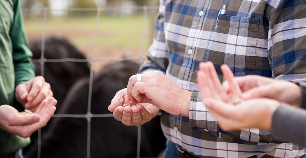 Agribusiness Management