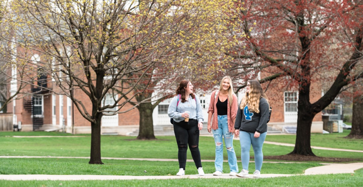 Fall enrollment again marks one of the largest student bodies in College history