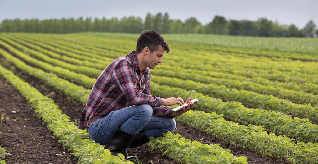 Online degree program expands opportunities for working ag professionals - Illinois College