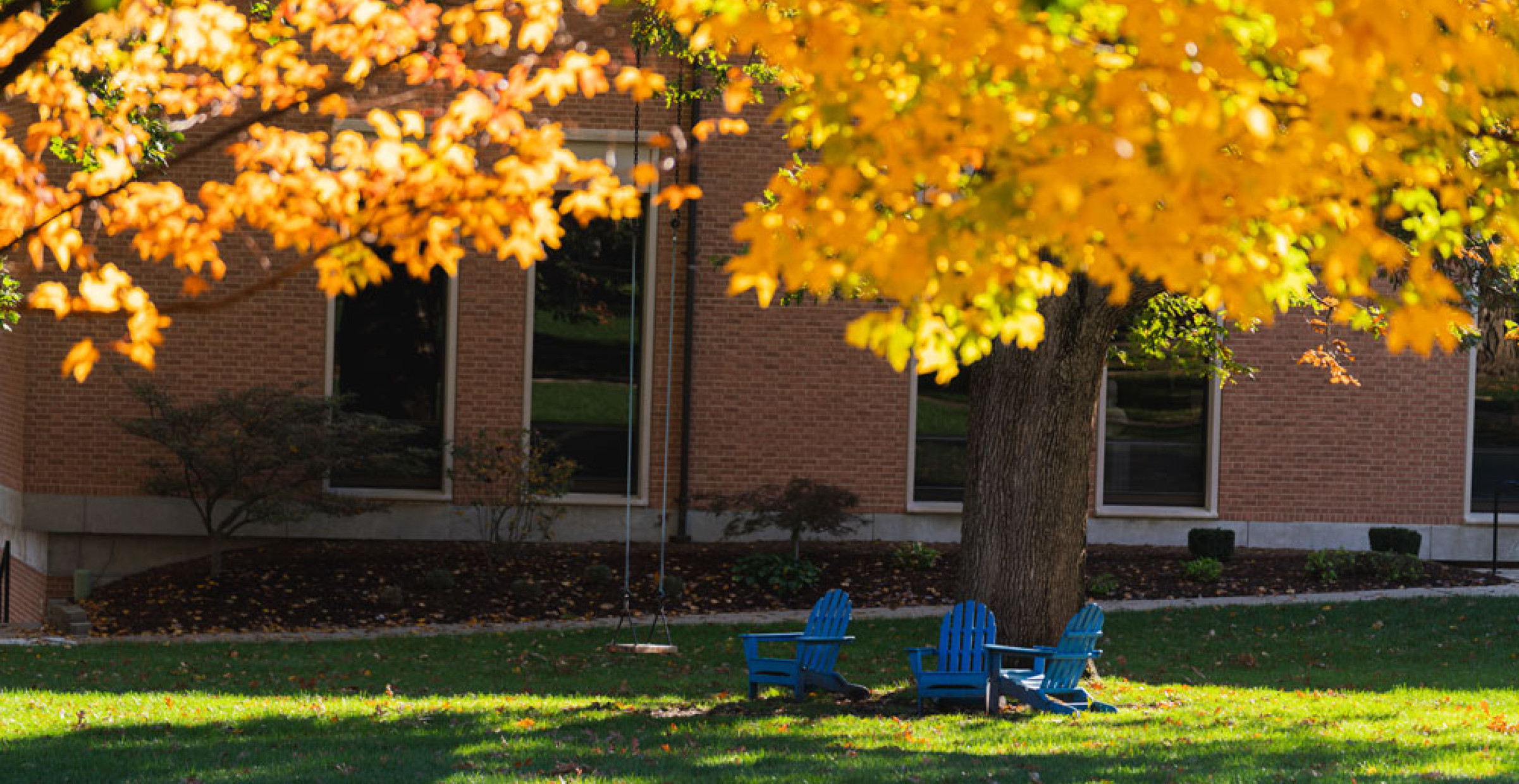 fall on campus