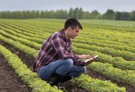 Online degree program expands opportunities for working ag professionals - Illinois College