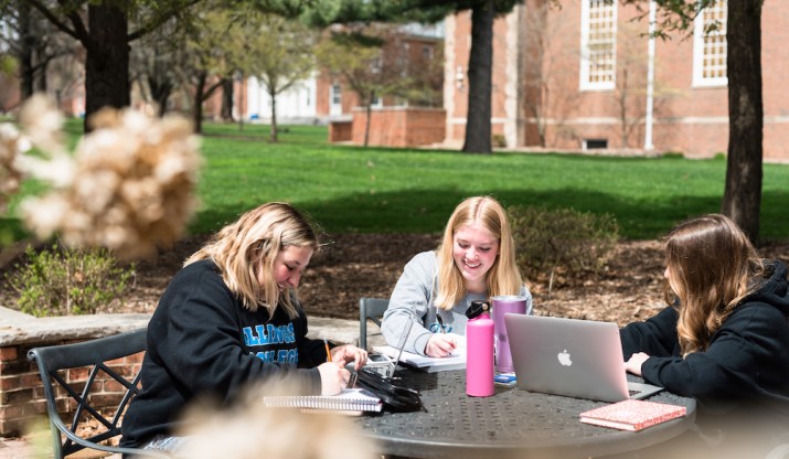 Students studying outside
