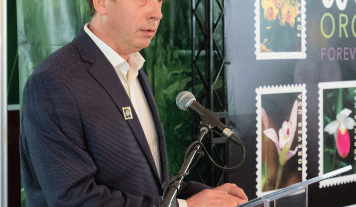 Zettler on orchids 